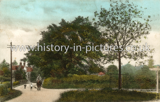 Ash Tree Corner, Little Waltham, Chelmsford, Essex c.1909